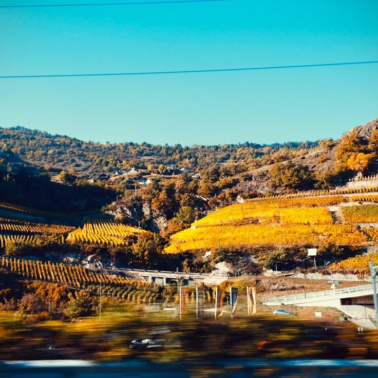 Entertainment zone at night in Italy